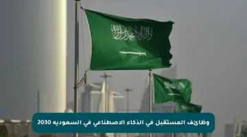 وظائف المستقبل في الذكاء الاصطناعي في السعودية 2030